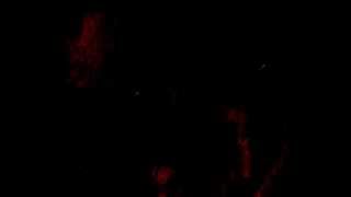 The Bunny The Bear - &quot;First Met You&quot; (Live New Song)