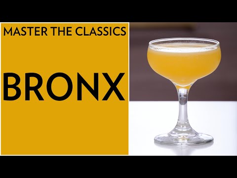 Bronx – The Educated Barfly