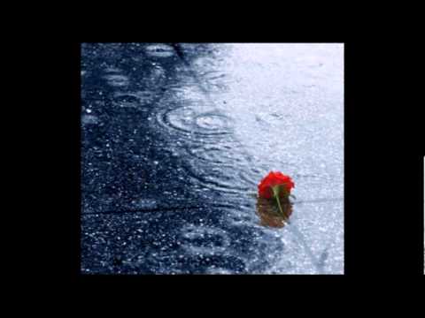 Rain (Falling from the Skies) cover