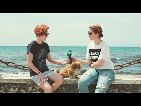 Karakteristikat e një tibetiani spaniel në Life is Better with Friends 06/06/2018 | IN TV Albania