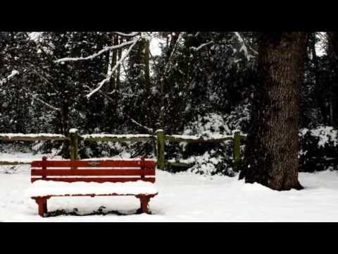 'Carol of the Bells' instrumental (piano, guitar, cello, bass trumpet) snow/christmas sequence