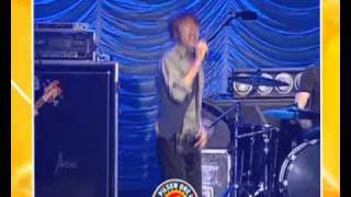 Suede &#39;Trash&#39;