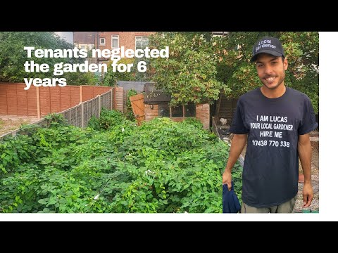 Your Gardener & Landscaper LTD video.