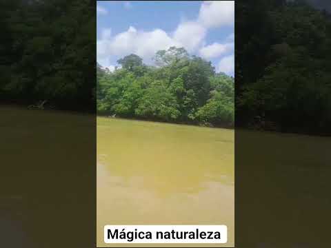 Napo-Tena - Ecuador 🇪🇨 #turismo#orienteecuatoriano.