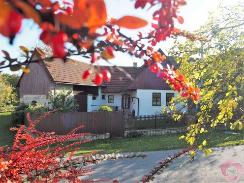 PRODÁNO -  Krásná chalupa | VIDEOPROHLÍDKA | Švandová & dcera reality