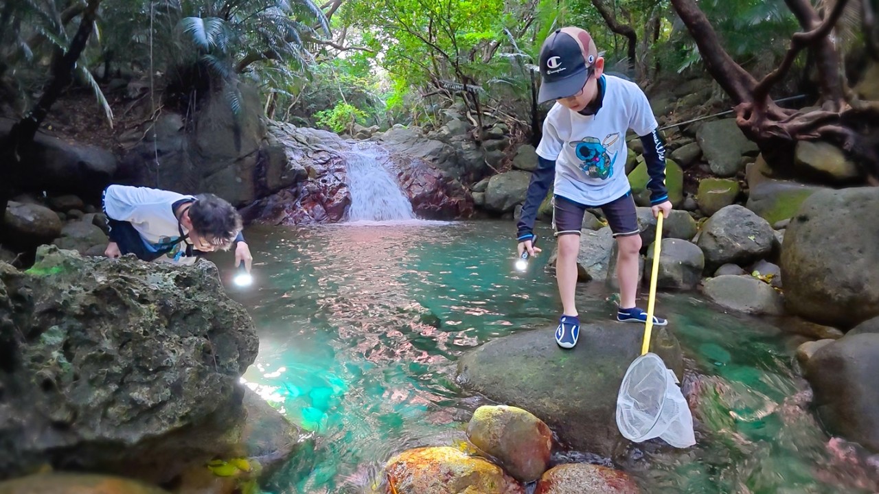 滝に潜んでいた巨大エビがヤバすぎる！
