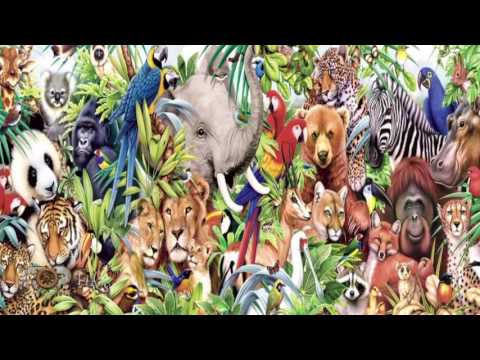 Fiks Fare, 4 Tetor 2016, Pjesa 1 - Investigative Satirical Show