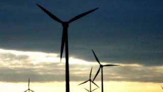 Tampled Rose - LUCKY PETERSON