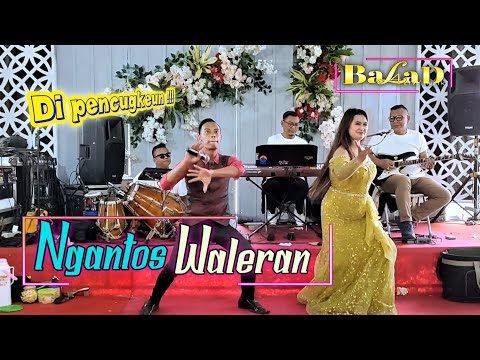 Ngantos Waleran - Angga MC || Balad Musik Live Ds.Cikahuripan Lembang
