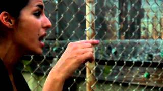 Wildbirds & Peacedrums - There Is No Light (Take Away Session outtake)