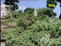 Ujali Meraman Naresh Kanodiya Gujarati Video