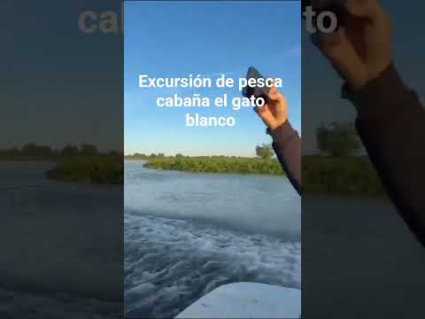 cabaña el gato blanco san javier provincia de santa fe