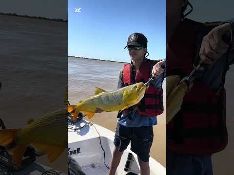 Pesca en Ibicuy, Entre ríos