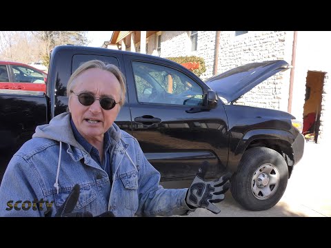 Mio figlio ha comprato un nuovo veicolo (e forse dovrò rinnegarlo)