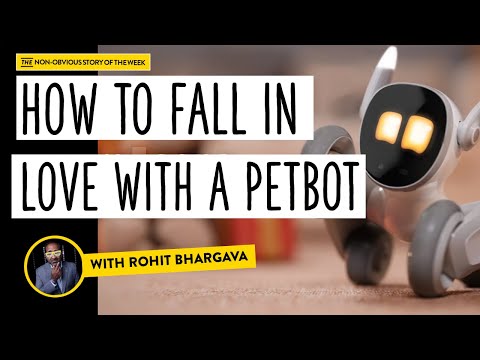 What Happens When We Fall In Love With a Robot? | Non-Obvious Story of the Week