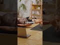 Why Women Love Doggystyle Relationship Datingtips Datingadvice Sex Sexposition