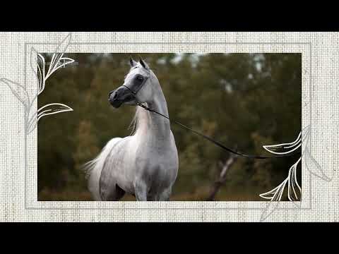 DA LITTLE PRINCESS - 2022 Menton promo