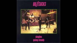 Buzzcocks - Oh Shit. #buzzcocks #betoramone  #punk #punkrockbrasil #punkrockbrasil