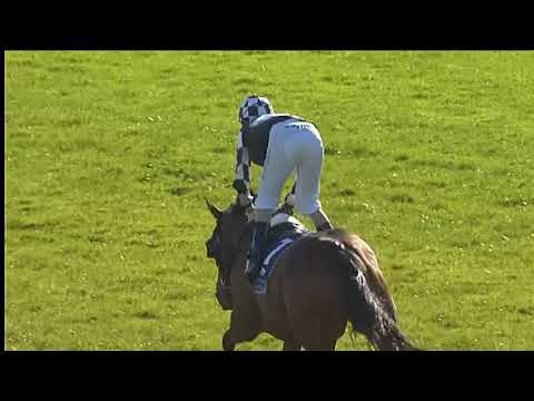 2012 Group 1 New Zealand Bloodstock Insurance Spring Classic: Shez Sinsational