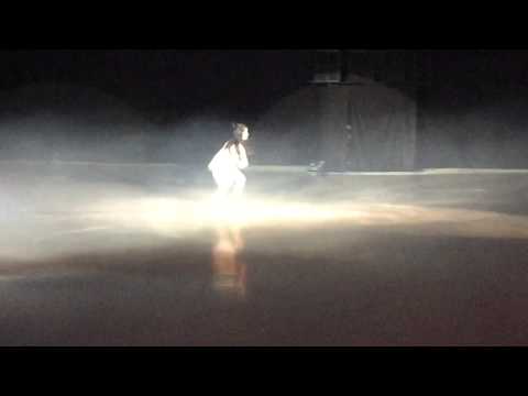 Maureen Wu - 2015 DSC ice show