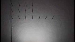 Hot Chip The Warning