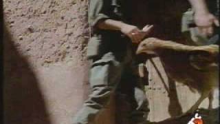 Litfiba - Prima guardia 1993