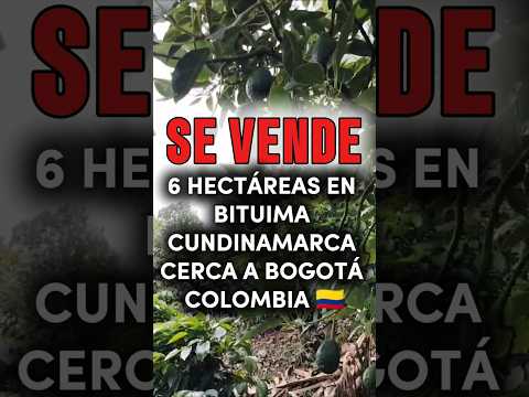 SE VENDE FINCA CERCA A LA CIUDAD DE BOGOTÁ 🇨🇴