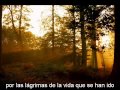 Ensiferum   Tears sub spanish)