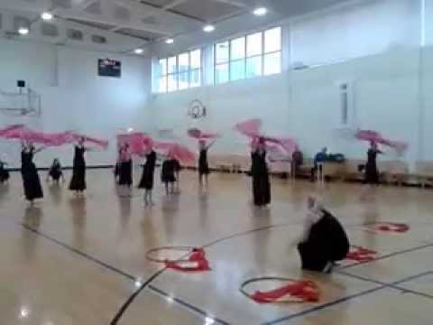 SK Gymnastic Fööniks