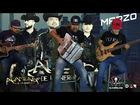 Popurri de Cumbias - Alameños de la Sierra (EN VIVO 2020)