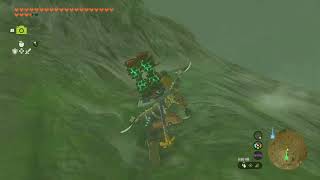 Cherry Blossom Tree, Ebon Mountain | The Legend of Zelda: Tears of the Kingdom