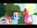 My Little Pony Deutsch 🦄 Der Schönheitsfleck | Freundschaft ist Magie | Ganze Folge | MLP