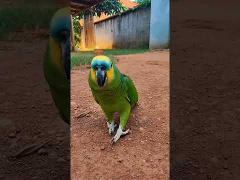 21 de janeiro de 2026