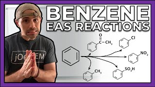 The Basic EAS Reactions with Benzene--All of the Mechanisms
