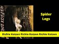Richie Kotzen Spider Legs
