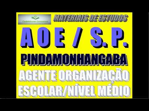 AGENTE ORGANIZAÇÃO ESCOLAR CONCURSO PÚBLICO PROVAS QUESTÕES SIMULADO CURSO APOSTILA AULA SP