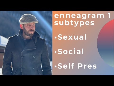 Enneagram Type 1 | Subtypes Overview | Sexual • Social • Self Preservation (SX• SC • SP) One