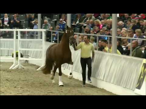 Von und Zu - Körung 2019