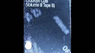DJ PREMIER CROOKLYN CUTS TAPE B La The Darkman I Want It All.WMV