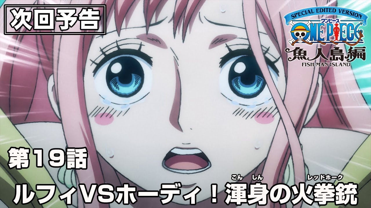 ワンピース （「SPECIAL EDITED VERSION『ONE PIECE』魚人島編」第1話 
