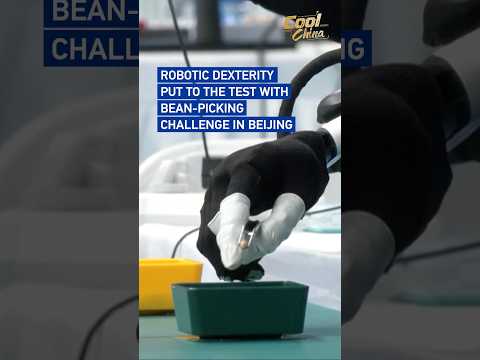 Robotic dexterity put to test with bean-picking challenge in Beijing
