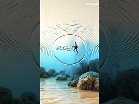 @Ldas_87 #caraguatatuba #natureza #portonovo #saopaulo #brasil #pesca