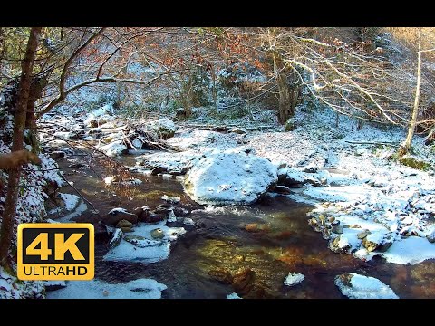 4K HDR - Snowy Forest River - NO LOOP - Ultra HD