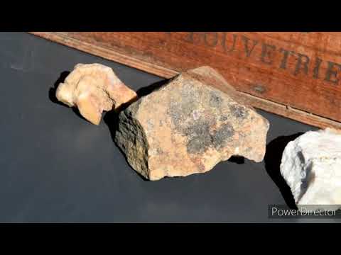 DOMAINE LANDRON PART 1 🍇