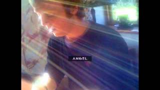 Angel :: AVAILABLE LIGHT :: James McCartney