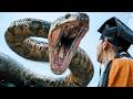 Anaconda 2024 Film Explained In Hindi Urdu Anaconda Giant Snakes Are Real Summarized हिन्द