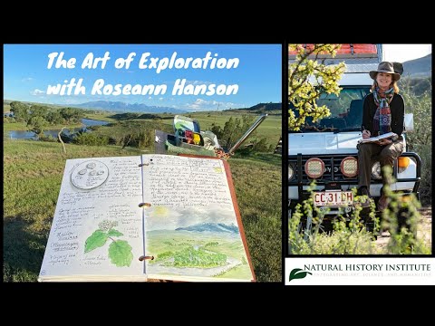 The Art of Exploration: Bridging science, conservation, and well-being through nature journaling
