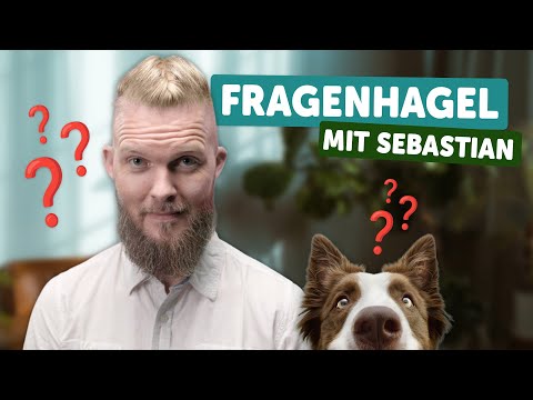 Fragenhagel! | Tierarzt Tacheles mit Sebastian Goßmann-Jonigkeit | ZooRoyal