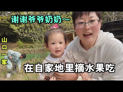 稻留桂子