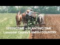 From PLOWING to PLANTING In Lancaster County's Amish Land